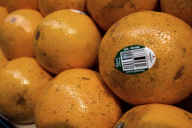 Florida oranges for sale in Washington in 2014.